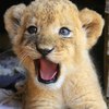 ��������� =)