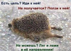 ����� ���������